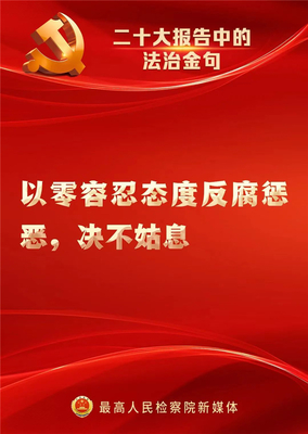 速覽！二十大報告中的法治金句